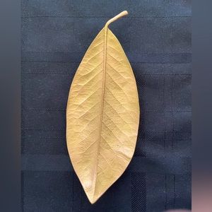Michael Michaud Bay Leaf Dish